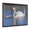 Swan Family - Wrap Canvas